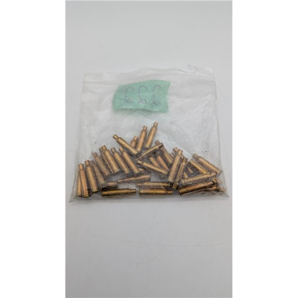 .17 hornet Brass (ck17)