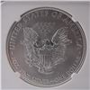 Image 4 : 2017 American Silver Eagle Type 1 NGC Graded MS 70 FDOI