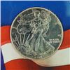 Image 3 : 1999 Silver American Eagle, in American Eagle Program Display