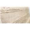 Image 2 : BEIGE MARBLE STONE SLAB - 5.5' X 10' X 3/4" (MQ012)