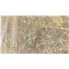 Image 2 : DARK GREY MARBLE STONE SLAB - 5.3' X 7' X 3/4" (AB014)