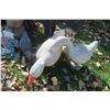 Image 2 : Yard Décor: Donkey Pulling Cart, Skunks, Ducks & More 