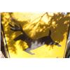 Image 2 : Deer Crossing Metal Sign 30'' x 30'' 