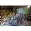 Image 2 : Stove Length Firewood: 3/4 Shedded, 1/4 