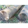 Image 2 : 2 Hydro Poles 14ft , 7-8'' Diameter 