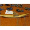 Image 2 : Soap Stone Style Ornament 12x 10", 1 Antler Inuit Carv ing
