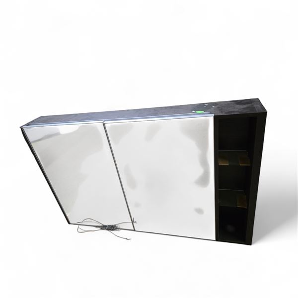 Dual Panel Mirror Cabinet w/Wood Grain Frame