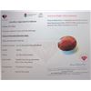 Image 3 : 6.85 ct Certified Untreated Ruby gemstone ($10,275 Appraisal)