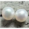 Image 2 : $60, SILVER FRESH WATER PEARL EARRING, appraised/retail value $60
