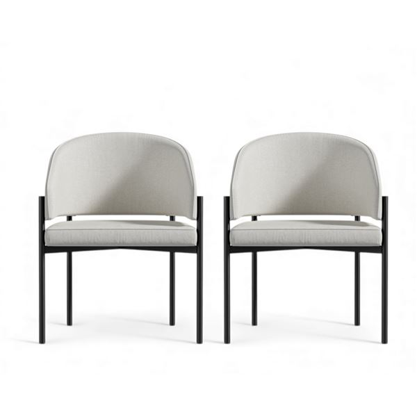 Rove Concepts Solana Dining Chairs Set of 2 - RV $934 CAD - New Showroom Display