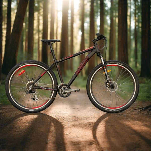 MTB 24" Infinity Crazyhorse HT24 Incline Boys (YS-727 Black, 24"x11", Model - AT421-24DBAS-1)