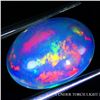 Image 1 : 4.17 CT. EXCEPTIONAL PLAY OF COLOR FIRE OPAL OVAL CABOCHON- Appraised value CAD 3,005