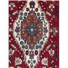 Image 4 : Hamedan Fluffy with beautiful colours 100% Authentic Hand Knotted Wool Persian Rug (Size - 9.11'Ã[x=