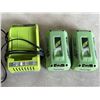 Image 1 : 2 EARTHWISE 40V BATTERIES W/ CHARGER