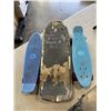 Image 2 : 2 MINI LONGBOARDS AND SKATEBOARD