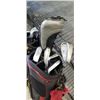 Image 2 : 2 GOLF CLUB SETS WITH STAND BAGS