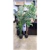Image 1 : 2 ARTIFICIAL PLANMTS, 4FT AND 5FT