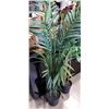 Image 2 : 2 ARTIFICIAL PLANMTS, 4FT AND 5FT