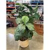 Image 2 : ARTIFICIAL PLANT IN RATTAN BASKET