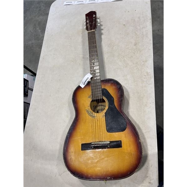 DANA GUITAR