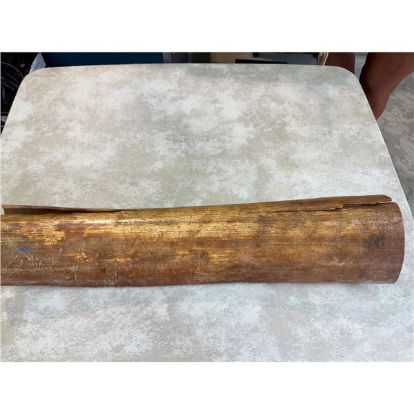 Fossilized Husk of Mammoth Tusk