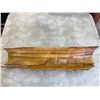 Image 3 : Fossilized Husk of Mammoth Tusk