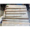 Image 2 : Canes and Walking Sticks with Brass Stand