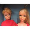 Image 3 : Barbie & Skipper Carrying Case 13"x10"x6" - 4 Barbie Doll, Ken Doll, 3 Barbie Wigs, 2 Barbie Heads