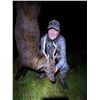 Image 1 : Maryland Sika Deer hunt for 2