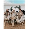 Image 1 : Texas Sandhill Crane & Waterfowl Hunt for 4 people