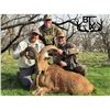 Image 1 : Texas Auodad Hunt
