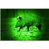 Image 1 : Texas 2 person Nightvision Hog Hunt