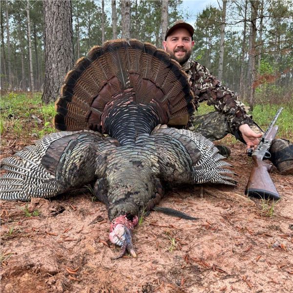 New York State Spring Turkey Hunt for 2 Hunters