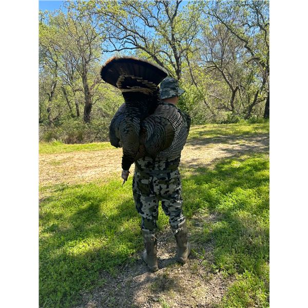 Texas Rio Grande Hunt for 2 Hunters 3 day hunt.Prarie Bomb Outfitters