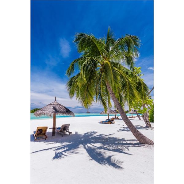 Caribbean 2 Adult 4 night Vacation
