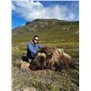 Image 1 : Greenland Muskox Hunt
