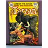 Image 1 : DC Comics Tarzan Lord of the Jungle #229 Edgar Rice Burroughs (1974)