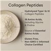 Image 5 : Sports Research Collagen Peptides Powder - Vanilla - (480g) - New (BB: 09/2027)