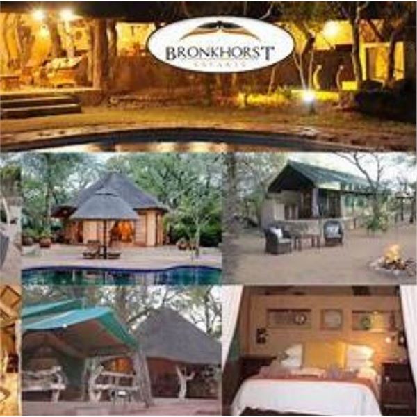 Skin, Scales & Feathers African Safari for 4 Hunters