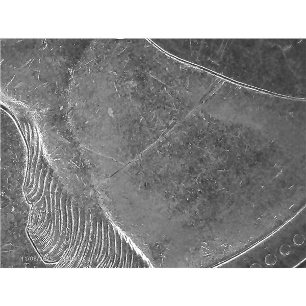 Canadian Quarter, Die Crack on the Neck Of The Caribou