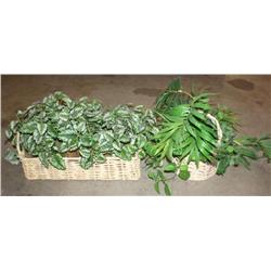 Lot of 2 Artificial Plants