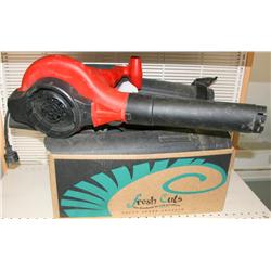CRAFTSMAN ELECTRIC  BLOWER/VAC  W/ ACCESORIES