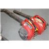 Image 1 : 2 HOMELITE BLOWERS/VAC