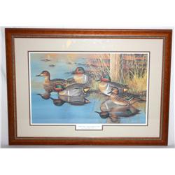Framed Print of Ducks