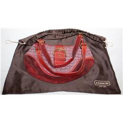 Coach Purse and Carry Case