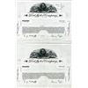 Image 1 : MI. Ford Motor Co. 1956, Progress Proof Uncut Vertical Stock Certificates Pair with Facsimile Signat