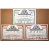 Image 1 : DE. E.I. du Pont de Nemours & Co., 1976 to 1981 Specimen Stock Certificate Trio