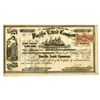 Image 1 : CA. Pacific Land Company, 1863 I/U Stock Certificate.