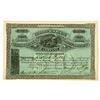 Image 1 : CO. Colorado & New Mexico Consolidated Mining & Smelting Company, 1896 I/U Stock Certificate