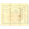Image 2 : CO. Electro Magnetic Mining & Developing Company of Denver, Colorado, 1881 I/U Stock Certificate